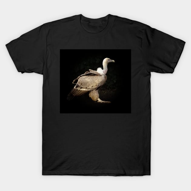 Vulture T-Shirt by Guardi